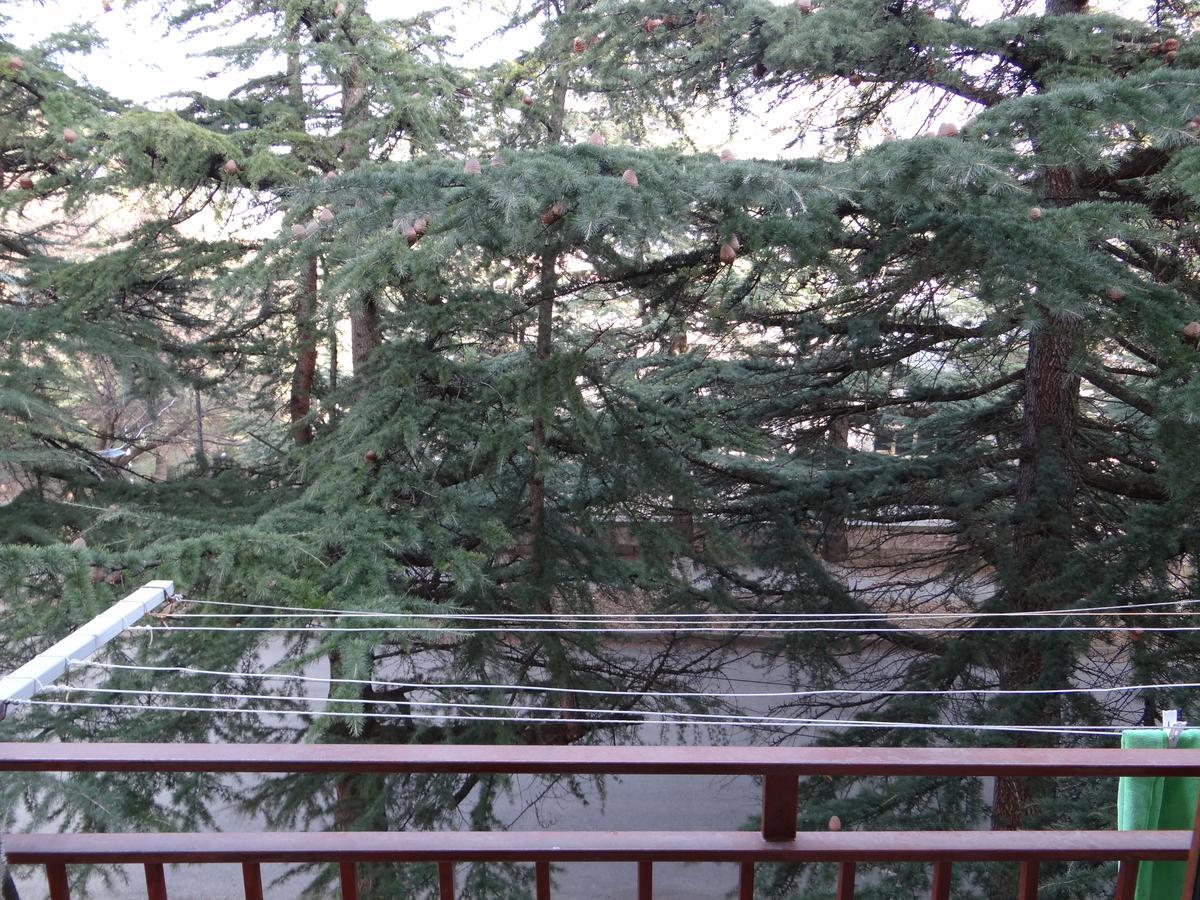 Dilijan Apartment Luaran gambar